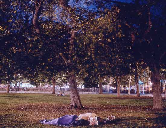 Residences and Parks 13