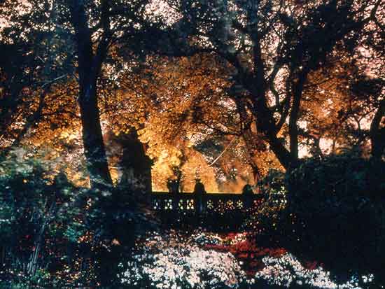 Residences and Parks 16