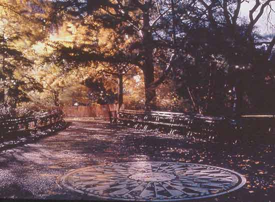 Residences and Parks 18