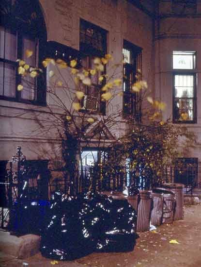 Residences and Parks 19