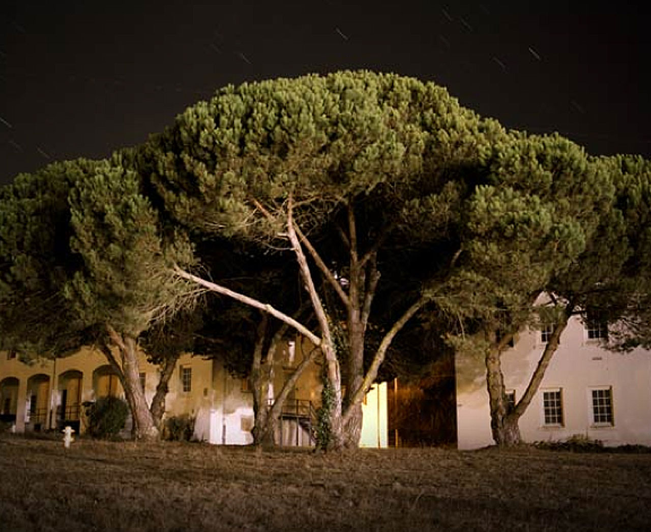 SF Presidio Night 35